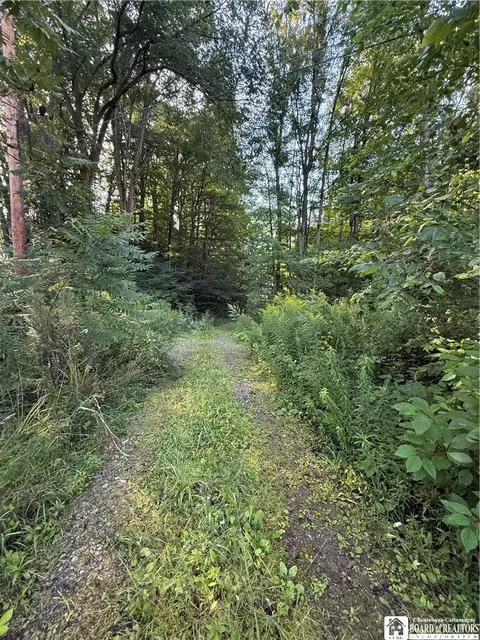 12283 Northeast Rd, Conowingo, NY 14726