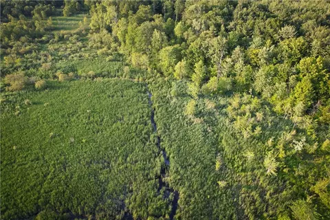 View/Area - 98 Hawk Rd, Volney, NY 13069 photo 19 of 24
