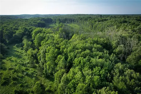 View/Area - 98 Hawk Rd, Volney, NY 13069 photo 6 of 24