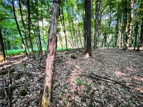 Exterior - 98 Hawk Rd, Volney, NY 13069 photo 8 of 15