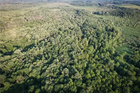 View/Area - 98 Hawk Rd, Volney, NY 13069 photo 2 of 24