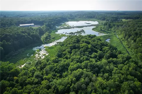 View/Area - 98 Hawk Rd, Volney, NY 13069 photo 11 of 24