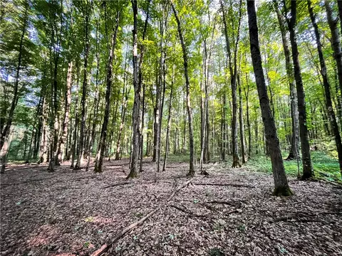 Exterior - 98 Hawk Rd, Volney, NY 13069 photo 9 of 15