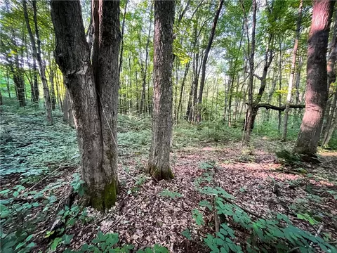 Exterior - 98 Hawk Rd, Volney, NY 13069 photo 12 of 15