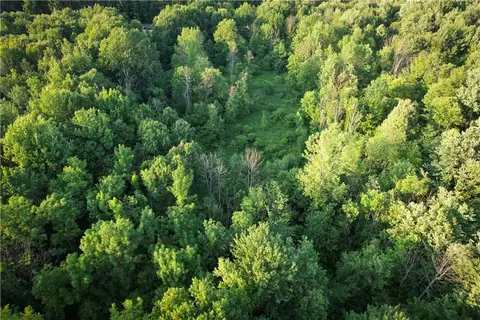View/Area - 98 Hawk Rd, Volney, NY 13069 photo 17 of 24