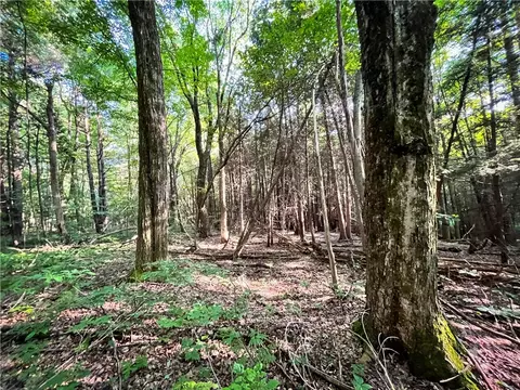 Exterior - 98 Hawk Rd, Volney, NY 13069 photo 15 of 15