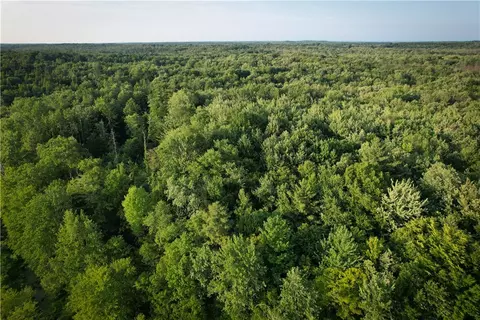 View/Area - 98 Hawk Rd, Volney, NY 13069 photo 18 of 24