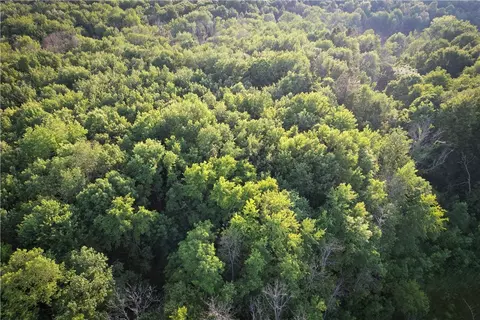 View/Area - 98 Hawk Rd, Volney, NY 13069 photo 10 of 24