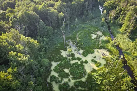 View/Area - 98 Hawk Rd, Volney, NY 13069 photo 9 of 24