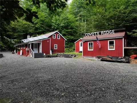 334 Lulu Coon Rd, Butternuts, NY 13776