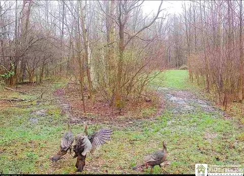 Route 430, Mina, NY 14736