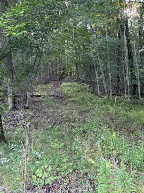 Rt. 346, Otto Twp, PA 16744