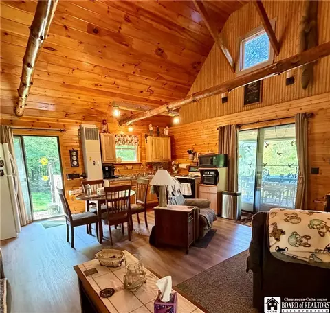 3150 Degroff Rd, Hinsdale, NY 14743 photo 28