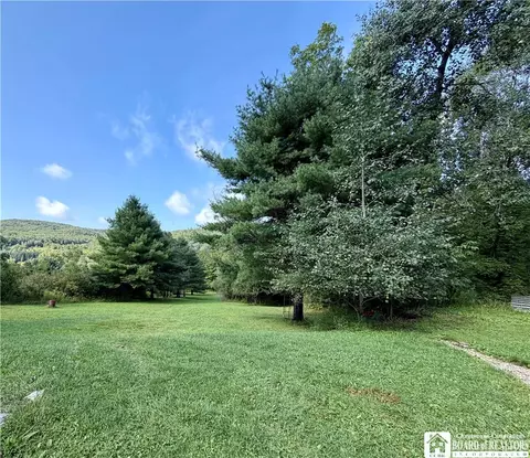 3150 Degroff Rd, Hinsdale, NY 14743 photo 41