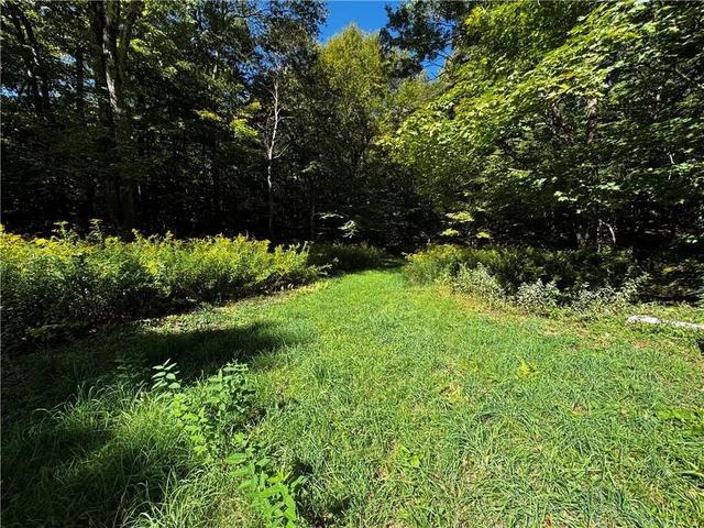 185 Kaine Rd, Williamstown, NY 13302