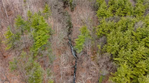 Rt-21, Naples, NY 14512 photo 8
