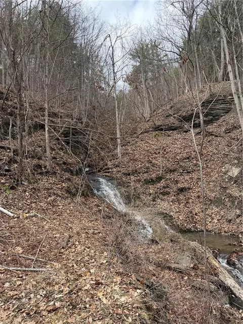 Rt-21, Naples, NY 14512 photo 3
