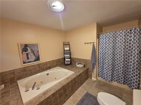 Bath - 55 S Platt St, Erwin, NY 14870 photo 3 of 6