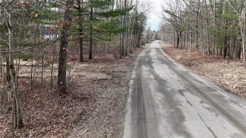 0 Welch Rd, Erwin, NY 14830 photo 5