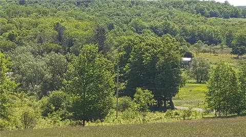 Stone Road, Freetown, NY 13040