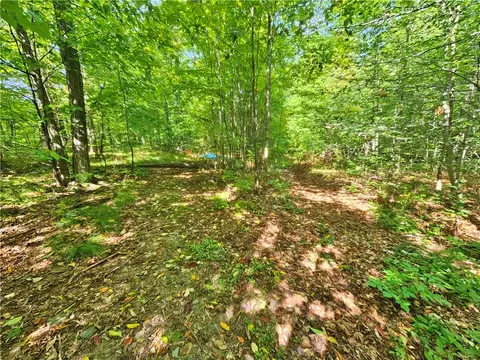 Exterior - 8237 Ford Rd, Pulteney, NY 14418 photo 15 of 27