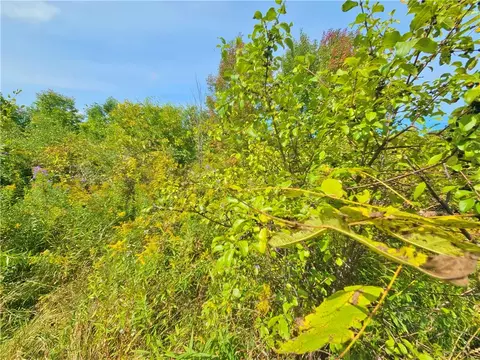 Other - 8237 Ford Rd, Pulteney, NY 14418 photo 6 of 20