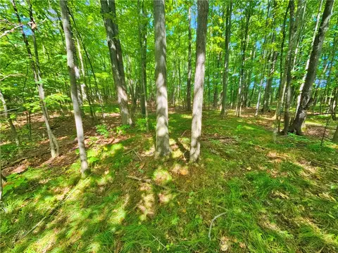 Exterior - 8237 Ford Rd, Pulteney, NY 14418 photo 3 of 27