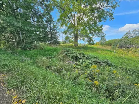 Exterior - 8237 Ford Rd, Pulteney, NY 14418 photo 23 of 27