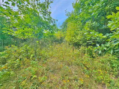 Exterior - 8237 Ford Rd, Pulteney, NY 14418 photo 2 of 27