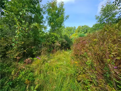 Exterior - 8237 Ford Rd, Pulteney, NY 14418 photo 13 of 27