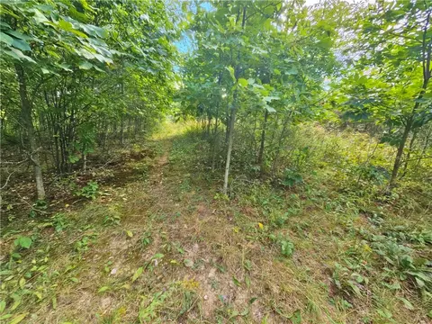 Other - 8237 Ford Rd, Pulteney, NY 14418 photo 17 of 20