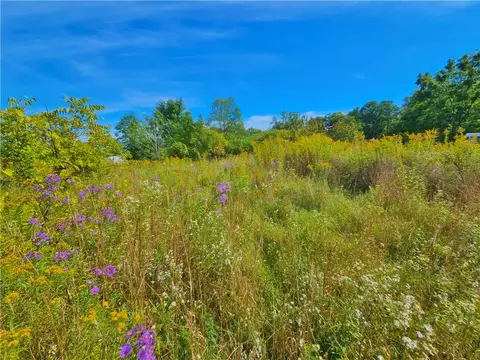 Other - 8237 Ford Rd, Pulteney, NY 14418 photo 5 of 20