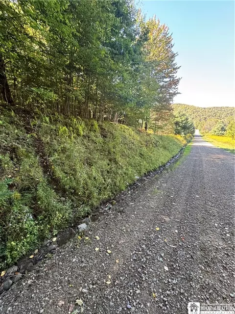 1235 Kansas Hollow Rd, Bolivar, NY 14715