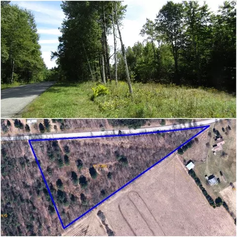 Titus Lake Road, Harpersfield, NY 13786