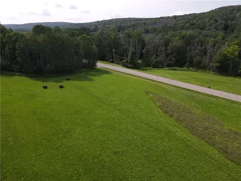 lot3 Mchenry Valley Rd, Almond, NY 14804