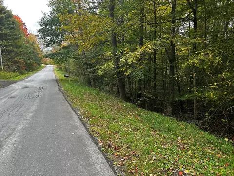 Mary Brown Hill Road, Laurens, NY 13796
