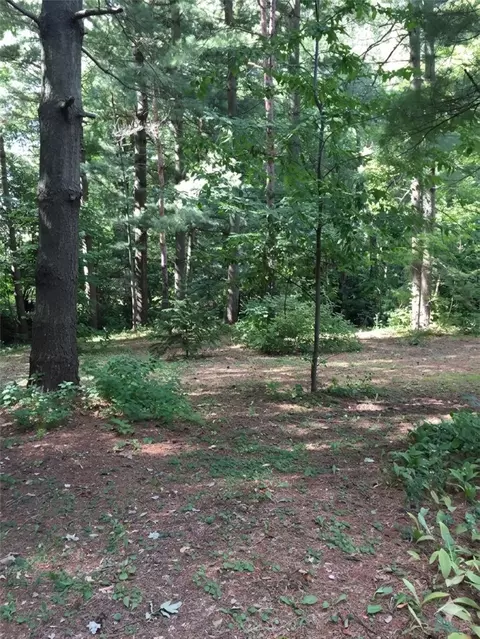 1953 Mapleview Dr, Hopewell, NY 14548