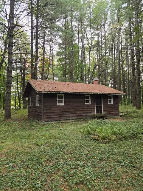 13537 Middle Branch Rd, Diana, NY 13648