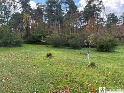 Exterior - 12523 Torrence Rd, Randolph, NY 14772 photo 8 of 8