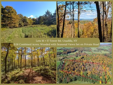 lot16 17 Tower Rd, Unadilla, NY 13849