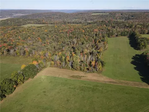 Browntown Road, Lindley, NY 14858