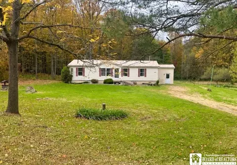 11880 Ruckh Hill Rd, South Dayton, NY 14138