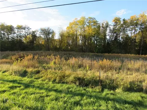 Forgham, Lyons, NY 14489 photo 9