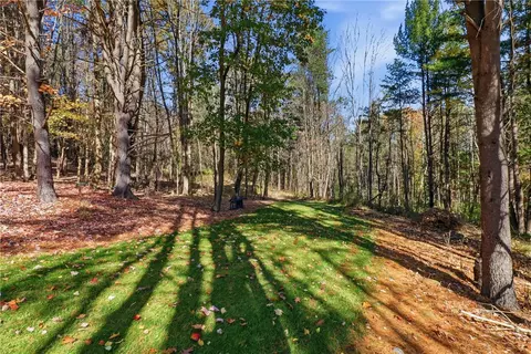 Exterior - 32 Hemlock Ln, Erwin, NY 14870 photo 9 of 11