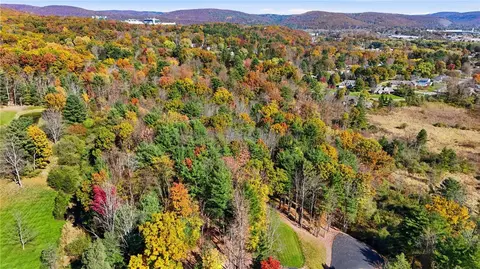 View/Area - 32 Hemlock Ln, Erwin, NY 14870 photo 4 of 6