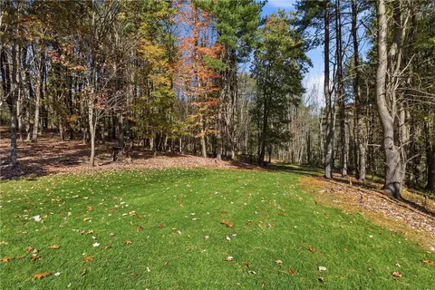 Exterior - 32 Hemlock Ln, Erwin, NY 14870 photo 11 of 11