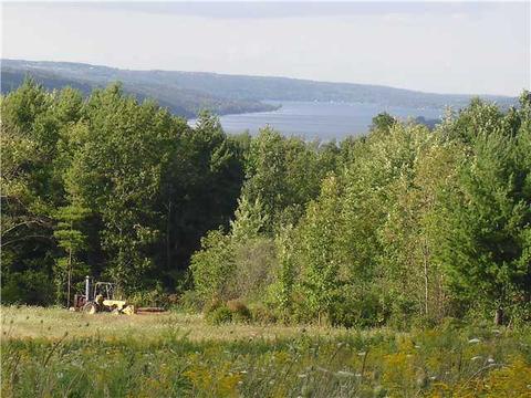 9597 Silsbee Rd, Wayne, NY 14840 photo 3