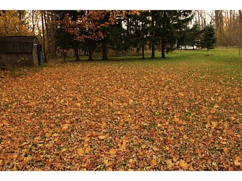 7408 E Main St, Lima, NY 14485 photo 4