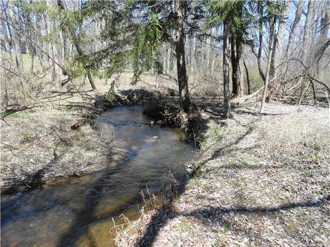 1176 Wall Rd, Webster, NY 14580 photo 12