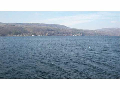 5680 Widmer Rd, Middlesex, NY 14507 photo 10